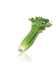  - Celery