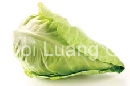 ӻ - Pointed Cabbage