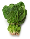 ปวยเหล็ง - Spinach