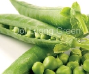 ถั่วลันเตาหวาน - Peas/Sweet bean