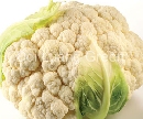 กะหล่ำดอก - Cauliflower