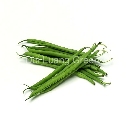 ถั่วแขก - Snap bean