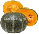 ฟักทองญี่ป่น - Japanese Pumpkin